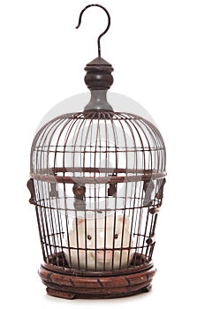 Piggy bank trapped in a cage