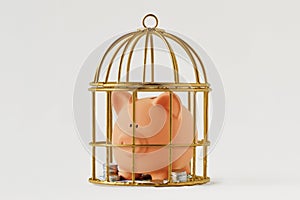Piggy bank trapped in a cage on white background - Concept of economy and savings