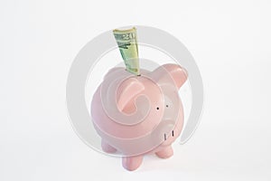 Piggy Bank with Twenty Dollar Bill