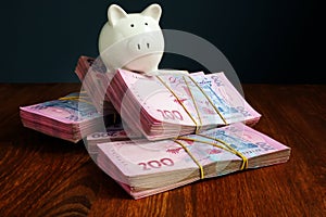 Piggy bank on Ukrainian banknotes hryvnia as symbol of savings in Ukraine