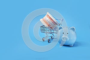 Piggy bank with White teeth model on blue background. tax offset concept. Medical Expense Deductions and Tax Breaks
