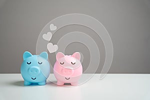 Piggy banks in love. Starting a life together and a shared budget for spending.