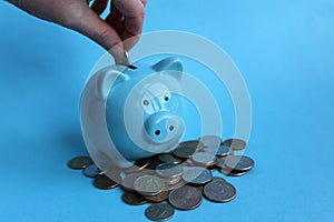 Piggy blue pig standing on a pile of money and the hand puts money in