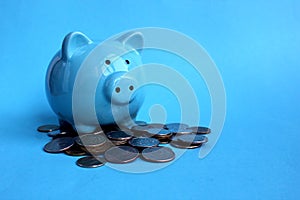 Piggy blue piggy standing on a pile of money coins