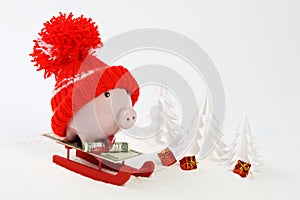 Piggy box with red hat with pompom standing on red sled on snow and around are snowbound trees - toboggan photo