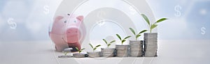 Piggy with Coins stack and leaf with line graph  business connect on nature background, Saving  ideas and  investment budget, Busi