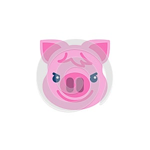 Piggy Face With Wry Smile Emoji flat icon photo