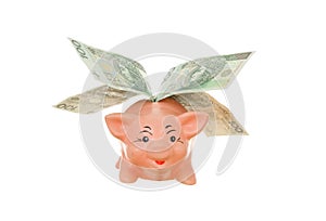 Piggy with money