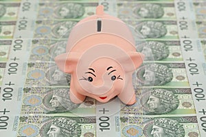 Piggy with money