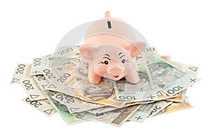 Piggy with money