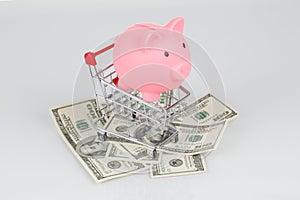 Piggy money box on pile of dollars, financial crisis concept