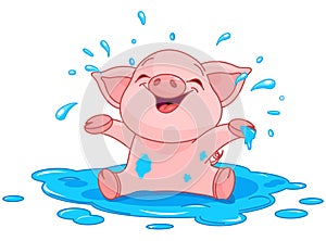Piggy in a puddle photo