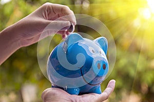Piggy save money concept, piggy bank on nature background