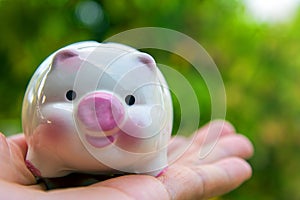 Piggy save money concept, piggy bank on nature background