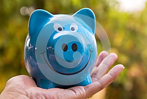 Piggy save money concept, piggy bank on nature background