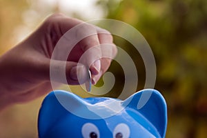 Piggy save money concept, piggy bank on nature background