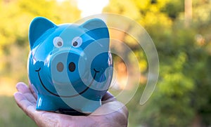 Piggy save money concept, piggy bank on nature background