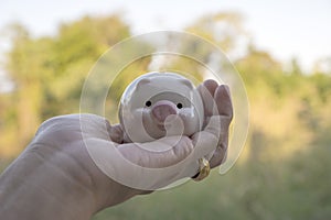 Piggy save money concept, piggy bank on nature background