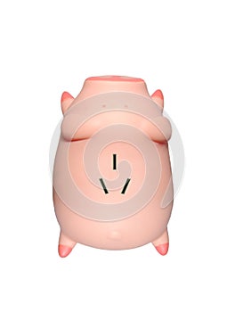 Piggy Socket isolated on white