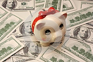 Piggy-wiggy and many hundred dollars photo