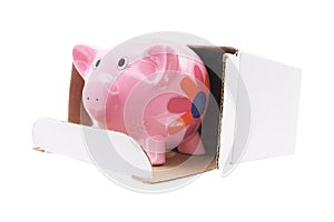 Piggybank in Cardboard Box