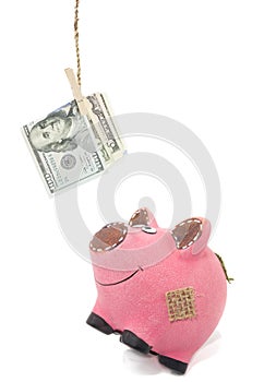 Piggybank catch dollars