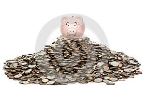 Piggybank Savings