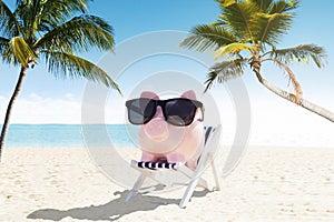 Piggybank With Sunglasses On Deck Chair