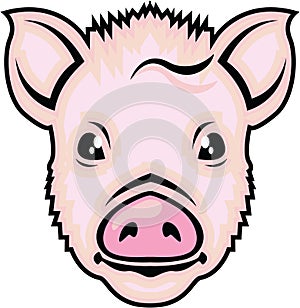 Piglet head vector