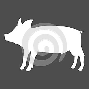 Piglet Icon. Vector White Silhouette of Small Pig