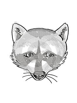 Pigmy Raccoon Endangered Wildlife Cartoon Retro Drawing