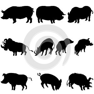 Pigs and boars silhouettes set