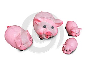 Pigs family white background.