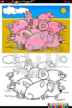 Pigs farm animal characters group color book