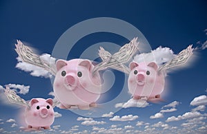 Pigs Fly