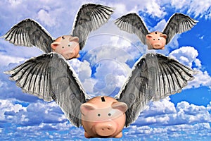 When Pigs Fly