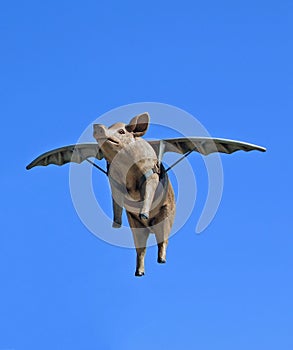 When Pigs Fly