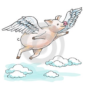When pigs fly. A fat piglet is flying among cumulus clouds.