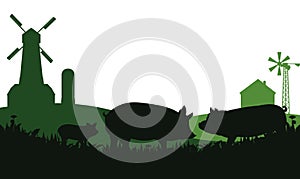 Pigs graze in pasture. Picture silhouette. Farm pets. Rural landscape with farmer house. Animals for meat and fat