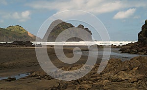 Piha beach