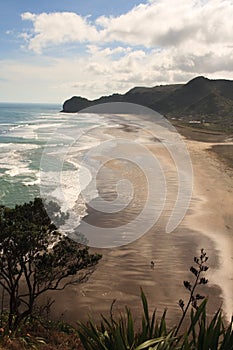 Piha Beach