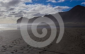 Piha Beach