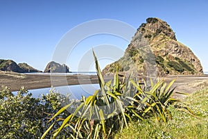 Piha Beach and Lion Rock