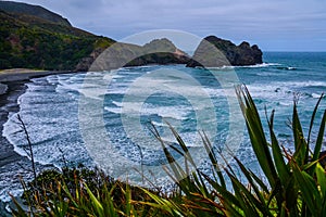 Piha Beach with Lion Rock, New Zealand
