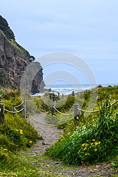 Piha Beach with Lion Rock, New Zealand