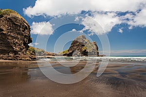 Piha beach in New Zealand