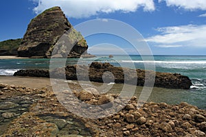 Piha Beach at Waitakere Ranges