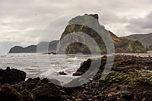 Piha black sand beach featuring cliffs and rock formations in New Zealand