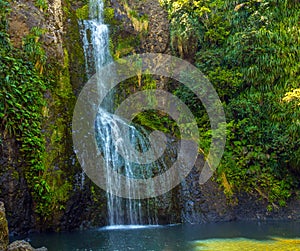 Piha Waterfalls, Kitekite Falls Auckland New Zealand