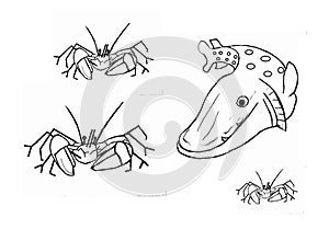 Pike and crayfish, colouring book page uncolored